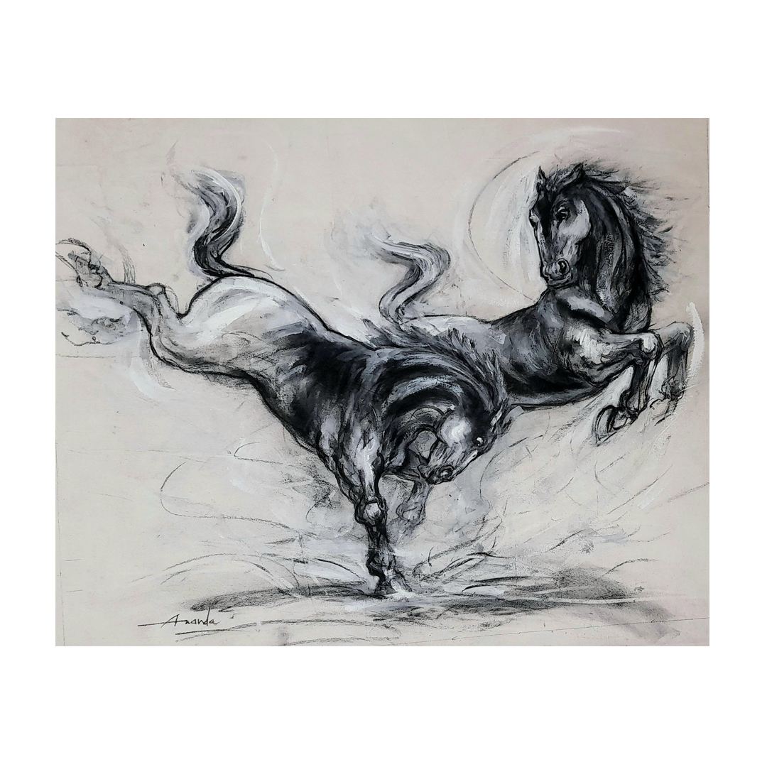 Strong Vibrant & Joyful Horses series by Ananda Das