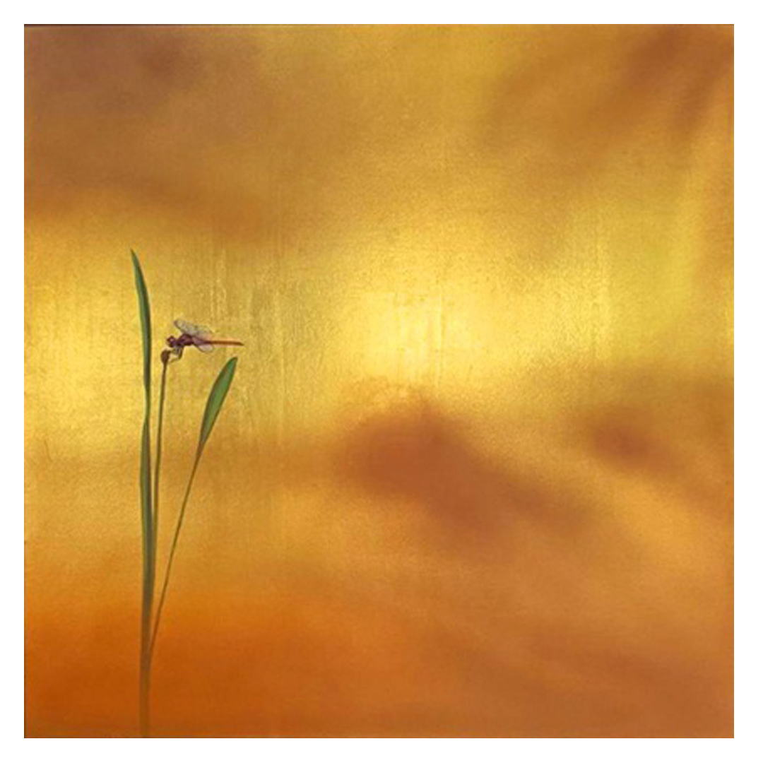 Tutubi (Dragonfly) by Danny Rayos Del Sol